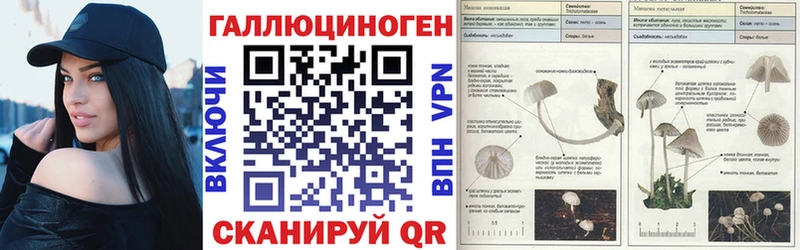 Псилоцибиновые грибы мицелий  где найти   Жуковка 